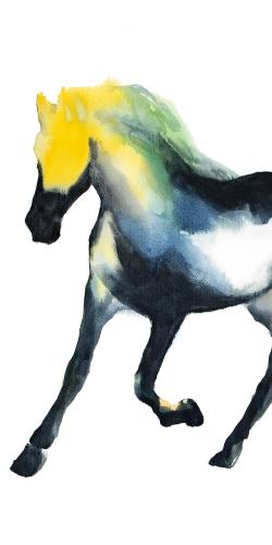 Galloping horse