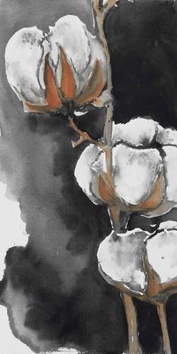 Watercolor cotton flowers