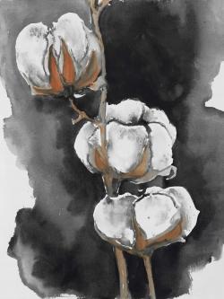 Watercolor cotton flowers
