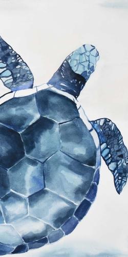 Tortue bleu