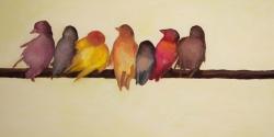 Famille d'oiseaux