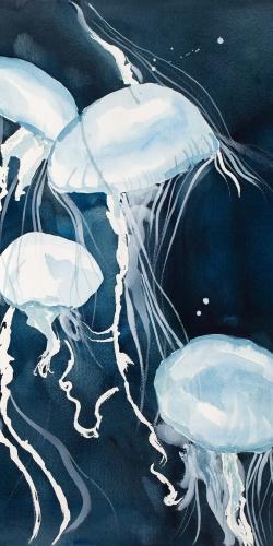 Meduses