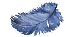 Watercolor blue feather