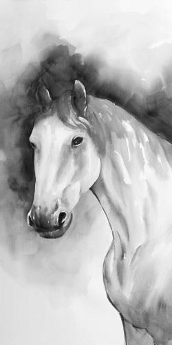 Domino horse