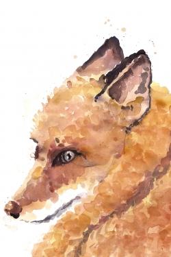 Renard