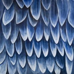 Plumage bleu