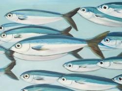 Small fish of caesio caerulaurea