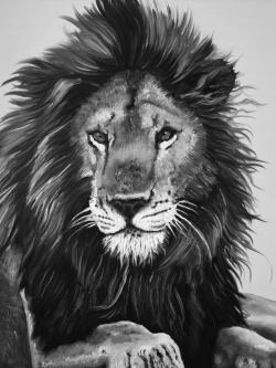 Le roi lion