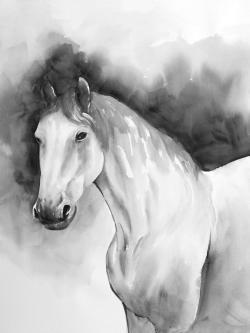 Domino horse
