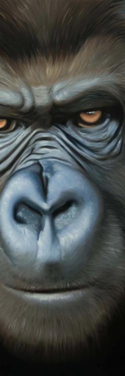 Visage de gorille