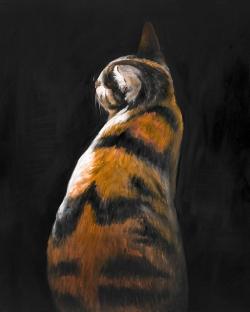 Spotted cat