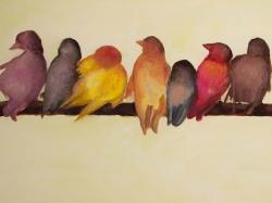 Famille d'oiseaux