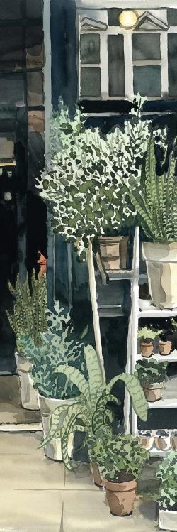Plants shop