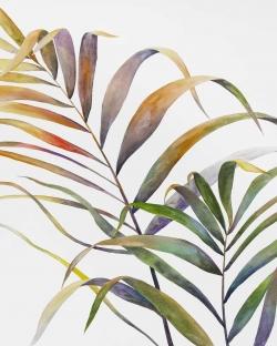 Feuilles de palmiers tropicaux à l'aquarelle