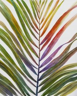 Feuille de palmier tropical
