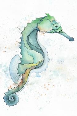 Hippocampe