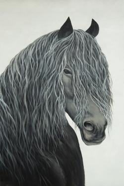 Cheval coeur sauvage