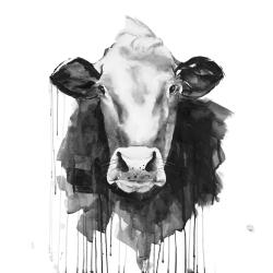 Vache