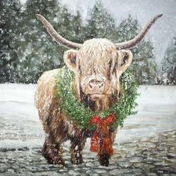 Vache highland de noël