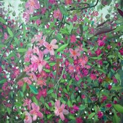 Cherry tree blooming