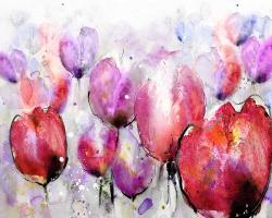 Champ de tulipes roses