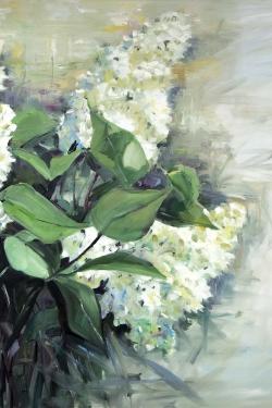 Lilas blanc