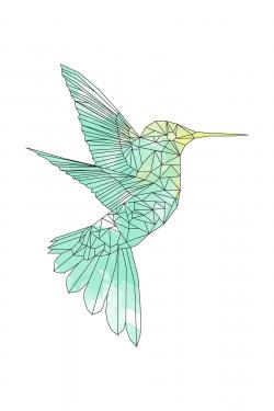 Colibri géométrique
