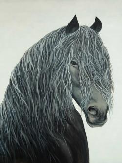 Cheval coeur sauvage