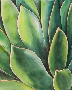 Plante d'agave à l'aquarelle