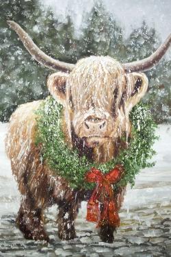 Vache highland de noël
