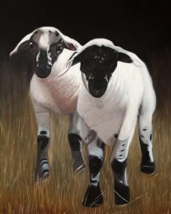 Two lambs