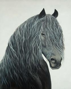 Cheval coeur sauvage
