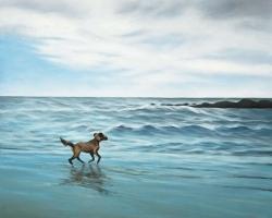 Dog on the beach