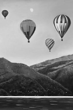 Air balloon landscape
