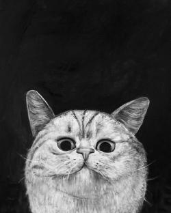 Watching cat