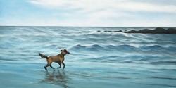 Dog on the beach