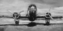 Avion en tons de gris