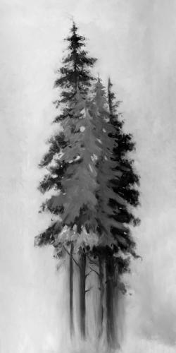 Silhouette of black and grey trees