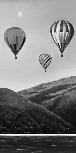 Air balloon landscape