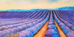 Lavender fields
