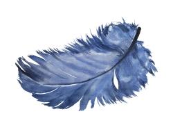 Watercolor blue feather