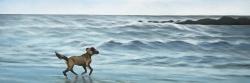 Dog on the beach