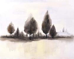 Landscape of trees