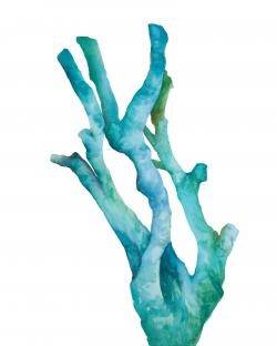 Small watercolor sea coral