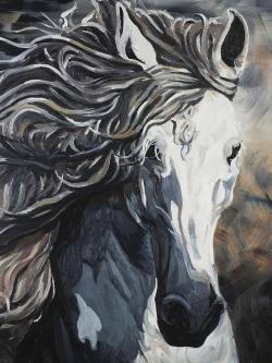 Front wild horse