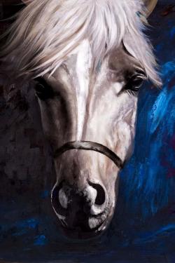 Cheval blanc sur fond bleu