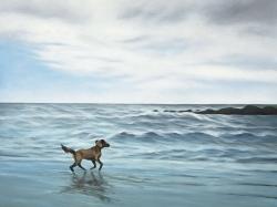 Dog on the beach
