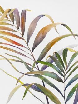 Feuilles de palmiers tropicaux à l'aquarelle