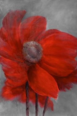 Fleur rouge dans le vent