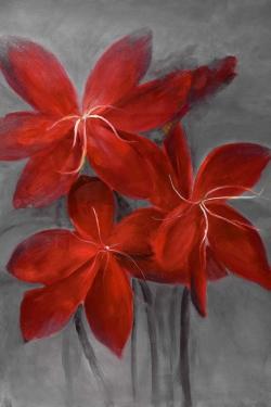 Asiatic lily